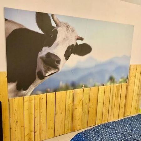 Le Depot Studio Du Petit Port Champvert 외부 사진